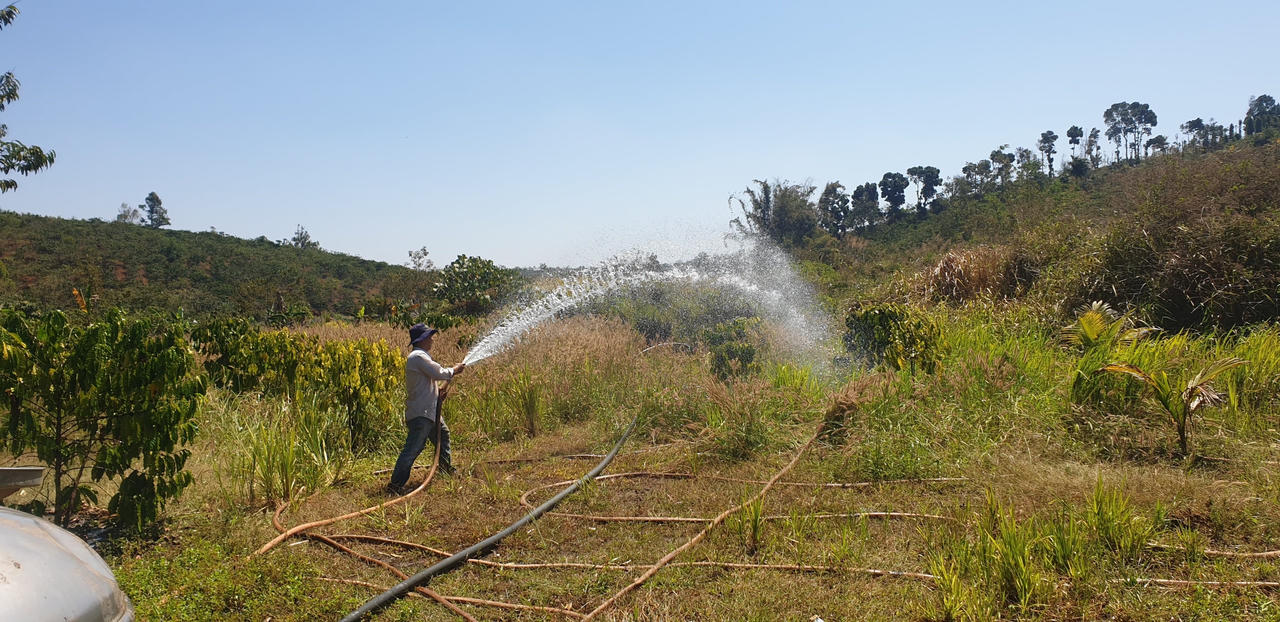 Phát triển thị trường tín chỉ carbon: Nền tảng bền vững cho tăng trưởng xanh