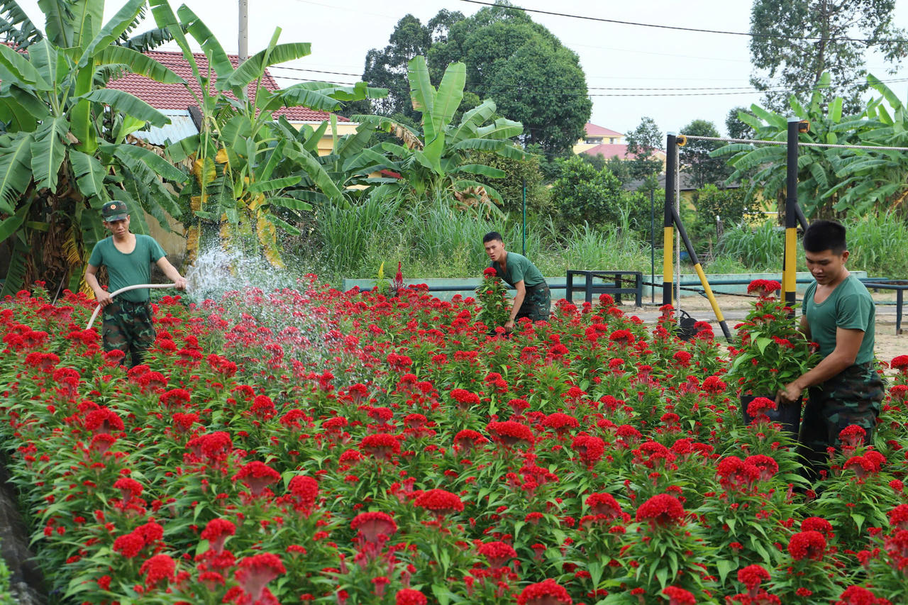 Tết đang về với bộ đội Quân đoàn 34