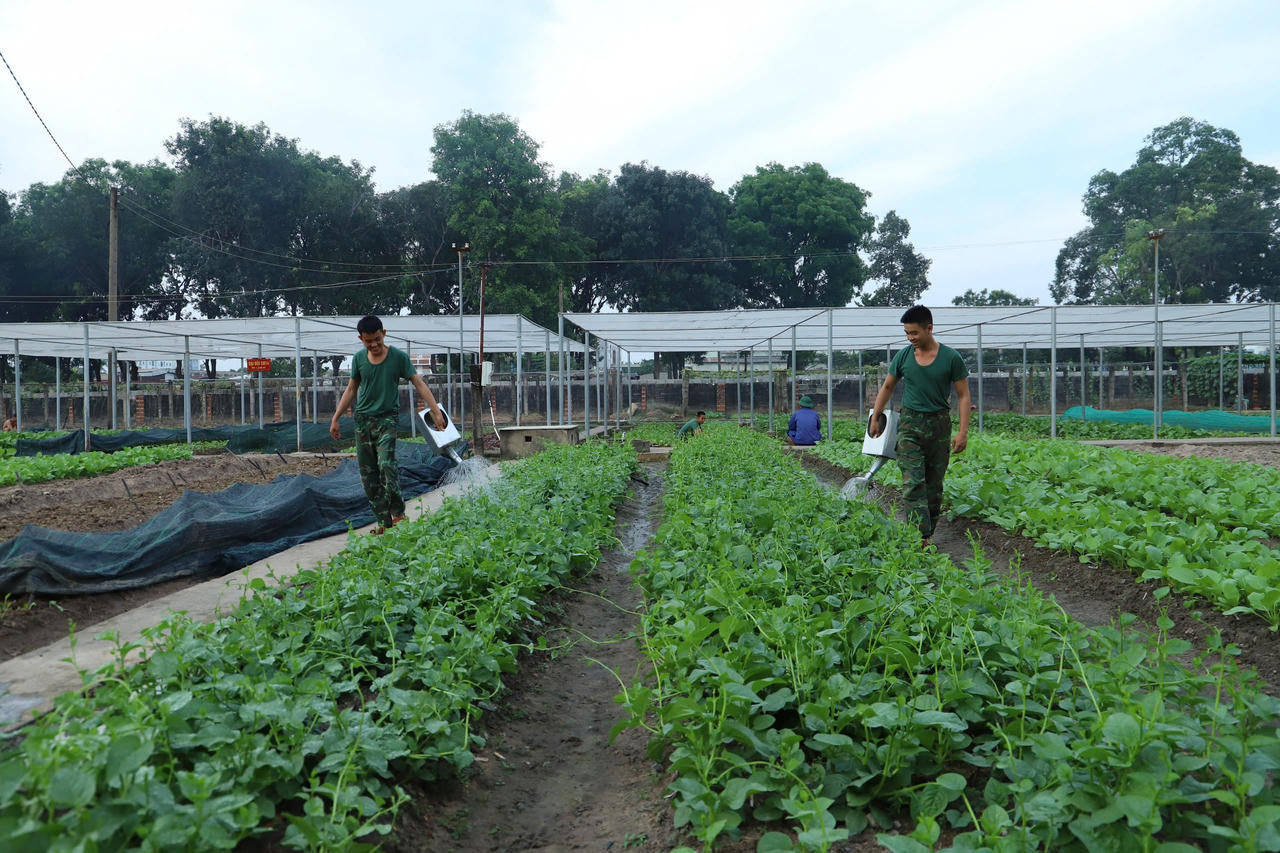 Tết đang về với bộ đội Quân đoàn 34