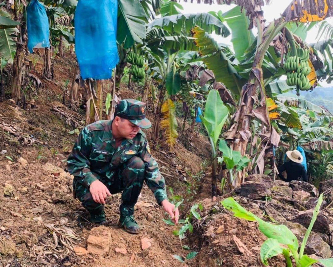 Mường Khương (Lào Cai): Khai thác hiệu quả tiềm năng, thế mạnh nông nghiệp để phát triển kinh tế