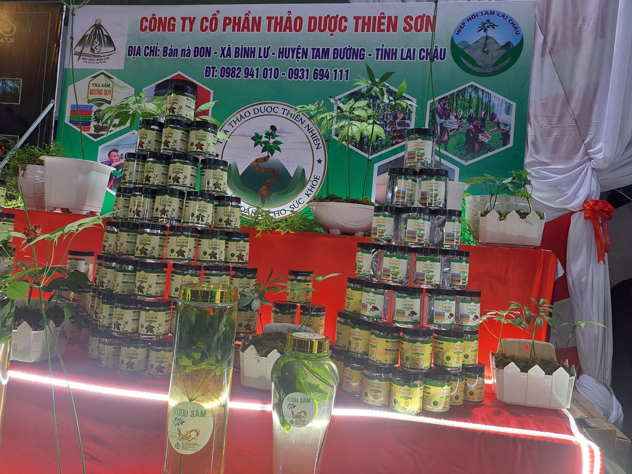 Khai mạc Hội chợ sâm Lai châu 2022