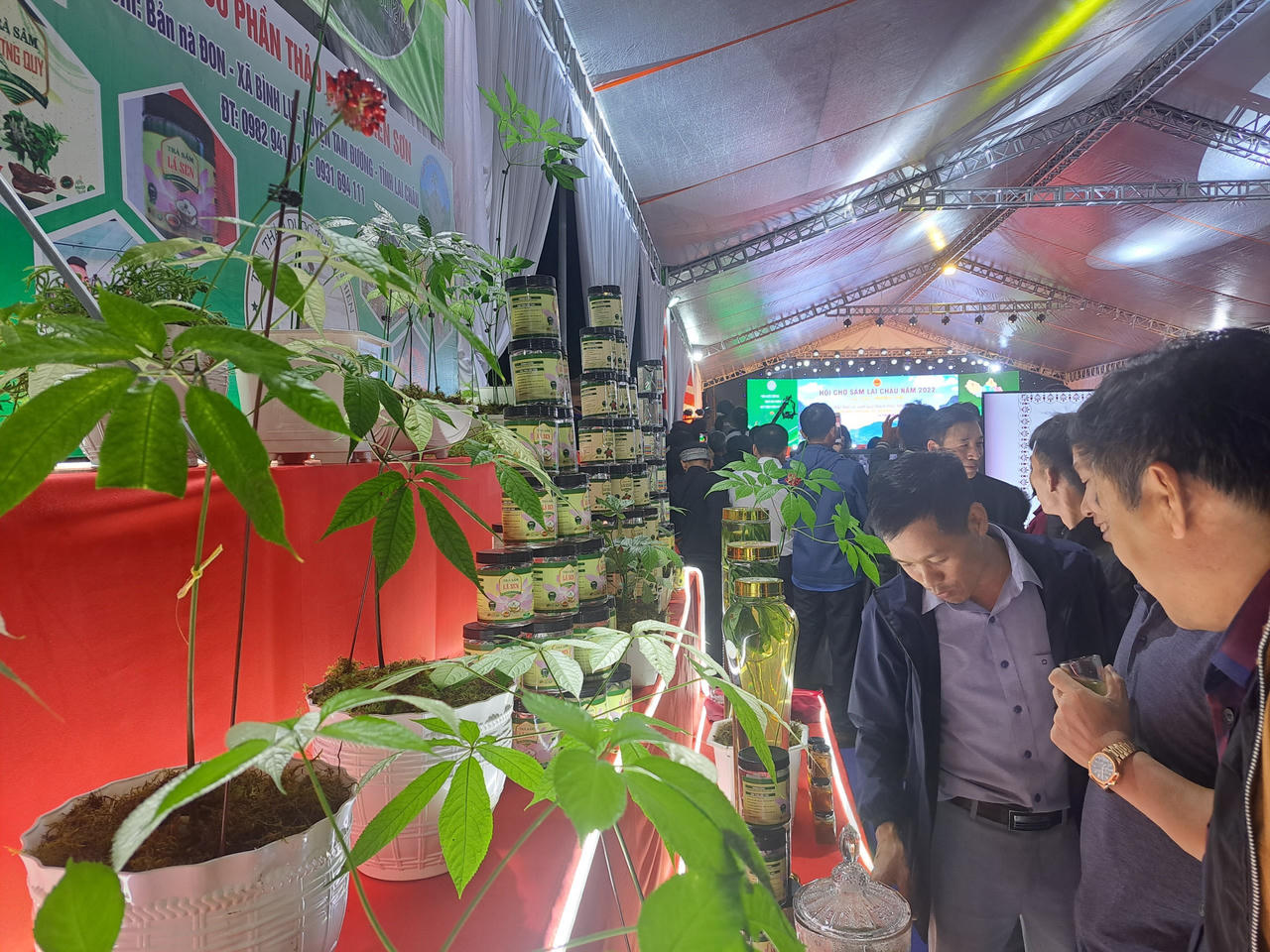 Khai mạc Hội chợ sâm Lai châu 2022