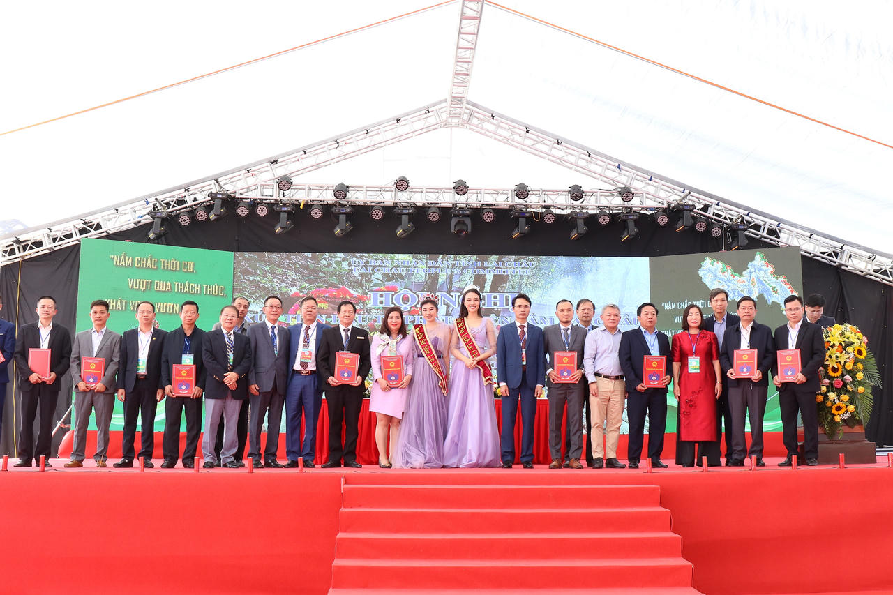 Xúc tiến đầu tư phát triển sâm Lai Châu