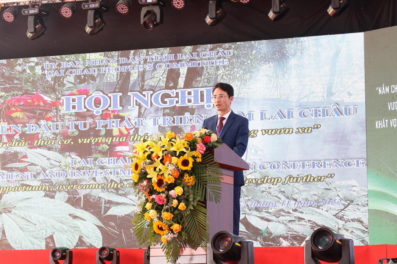 Xúc tiến đầu tư phát triển sâm Lai Châu