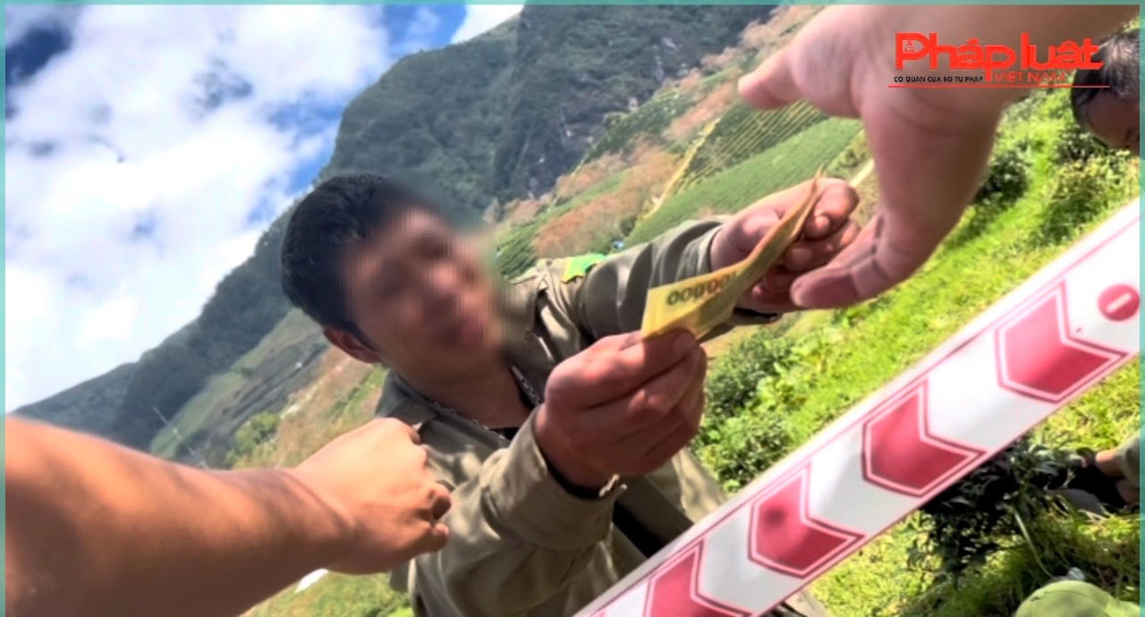 Phải mua 150 nghìn đồng 1 gói chè để được vào chụp ảnh vườn hoa 