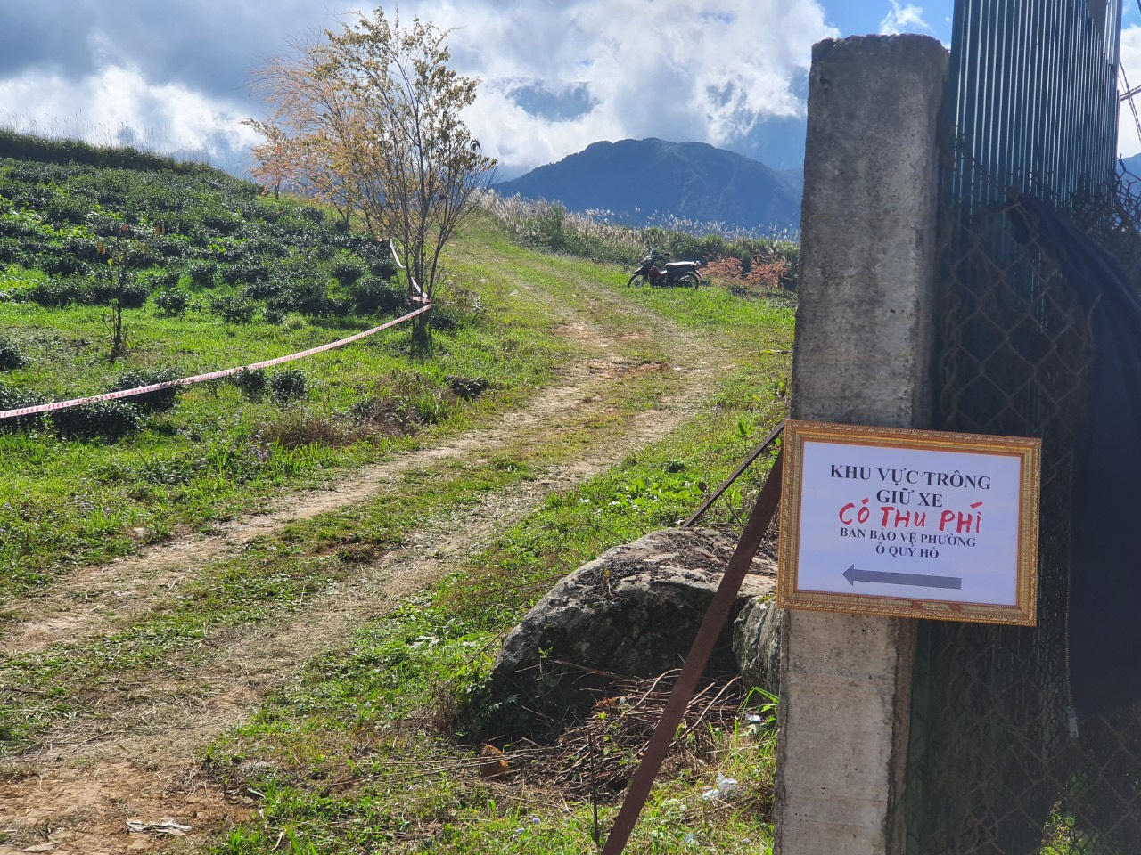 Phải mua 150 nghìn đồng 1 gói chè để được vào chụp ảnh vườn hoa 