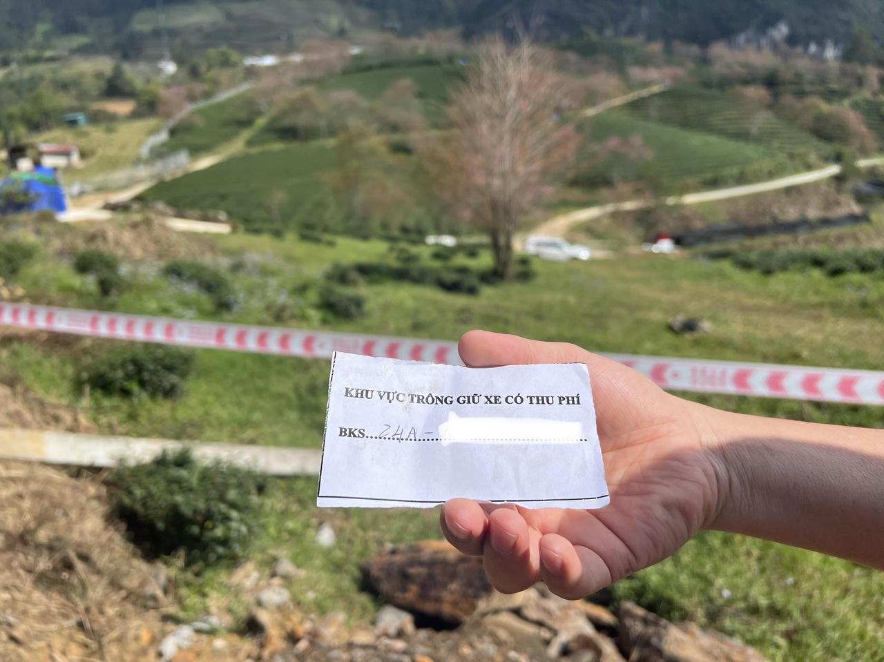 Phải mua 150 nghìn đồng 1 gói chè để được vào chụp ảnh vườn hoa 