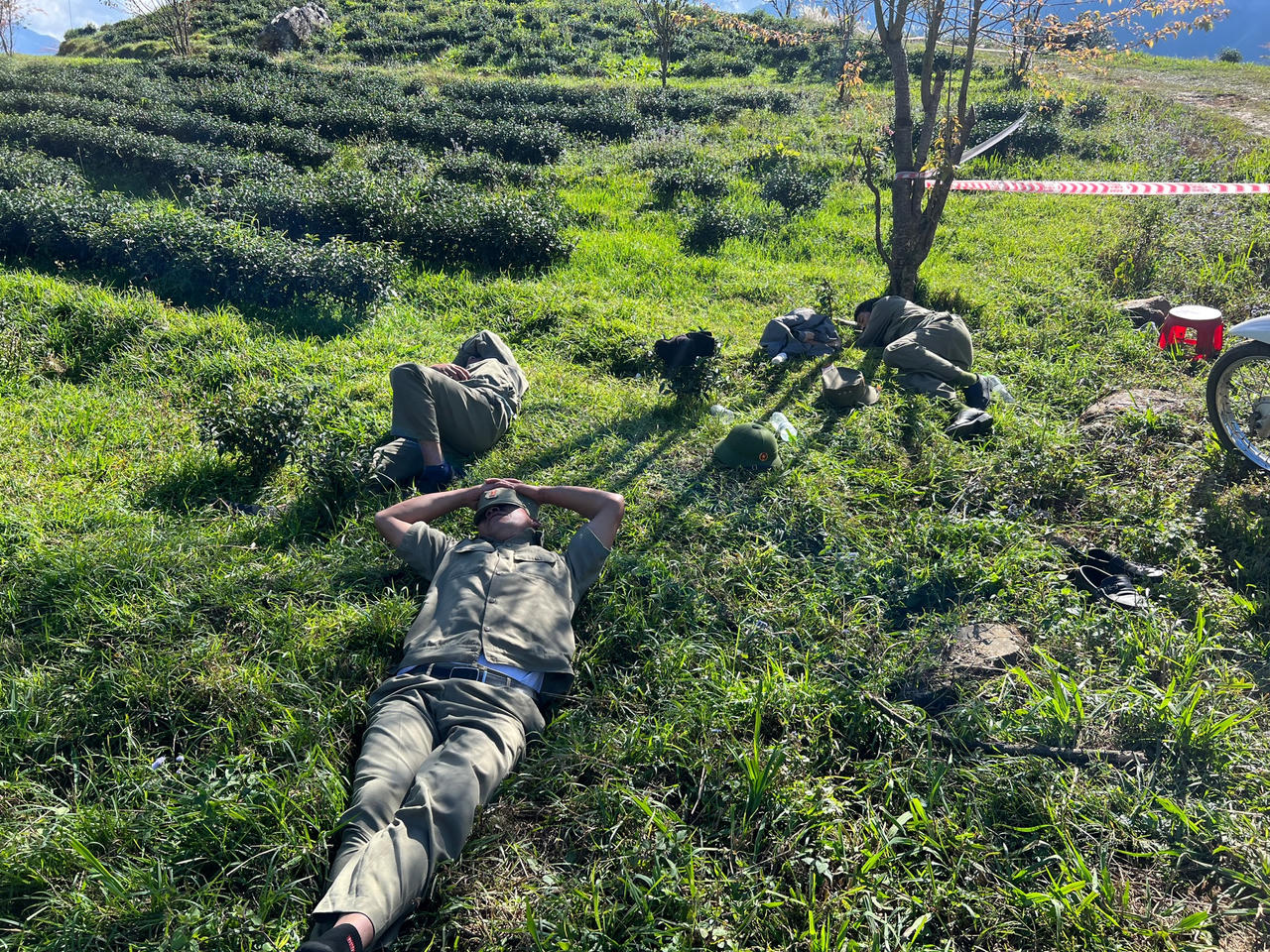 Phải mua 150 nghìn đồng 1 gói chè để được vào chụp ảnh vườn hoa 