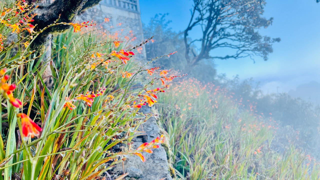 Xuất hiện băng giá trên đỉnh Fansipan