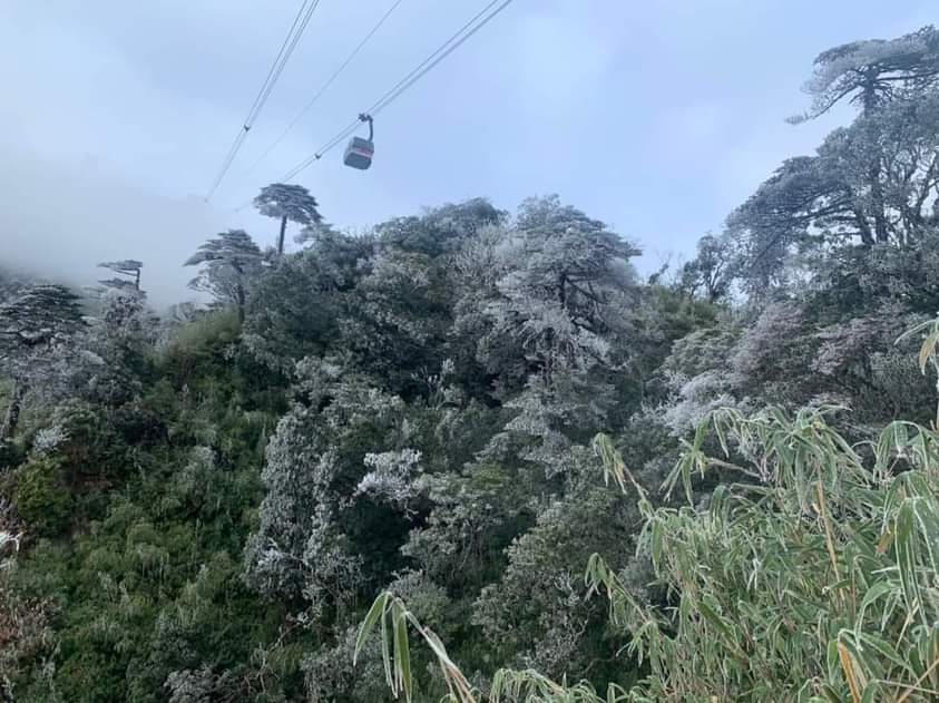 Băng giá và sương muối phủ trắng Fansipan