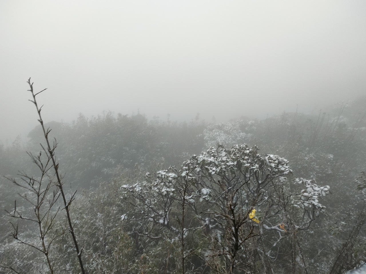 Tuyết rơi phủ kín nóc nhà Đông Dương