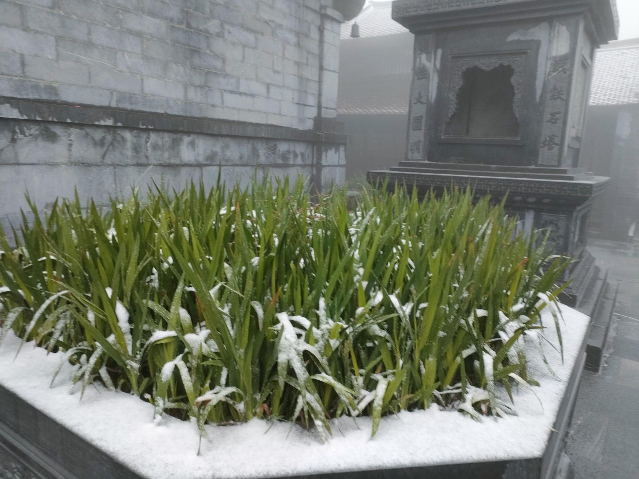 Tuyết rơi phủ kín nóc nhà Đông Dương