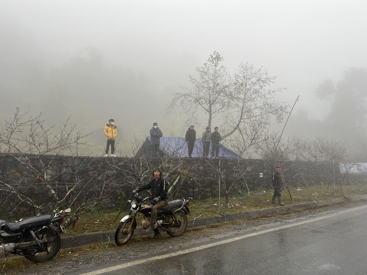 Nhộn nhịp thị trường đào Tây Bắc 