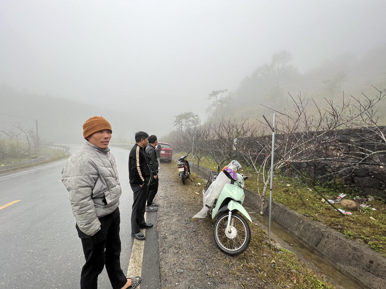 Nhộn nhịp thị trường đào Tây Bắc 