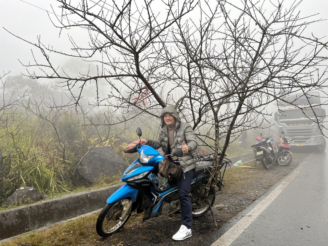 Nhộn nhịp thị trường đào Tây Bắc 