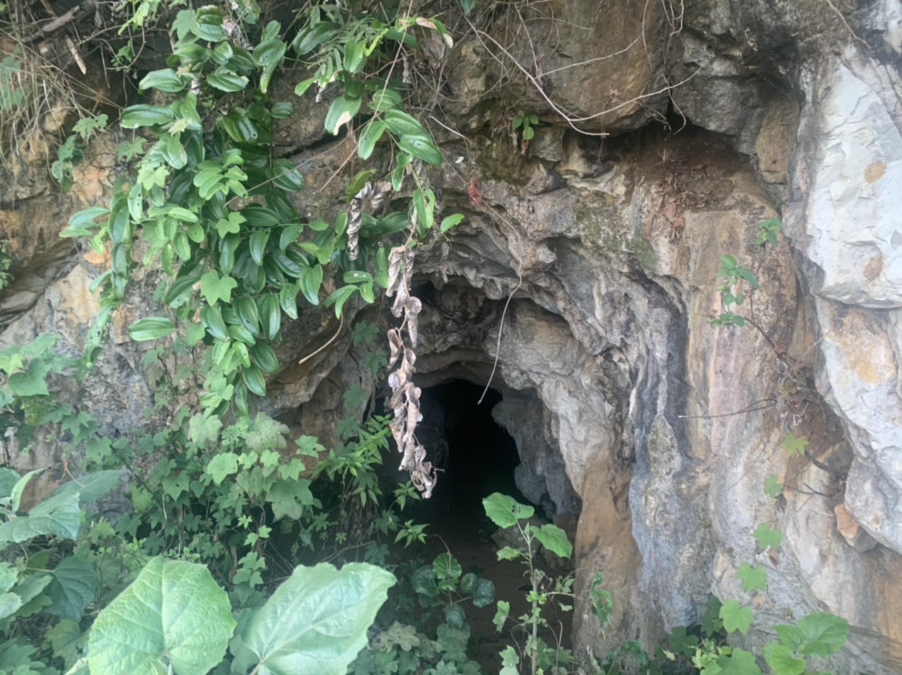 Khẩn trương truy bắt đối tượng giết người tại đồi cao su