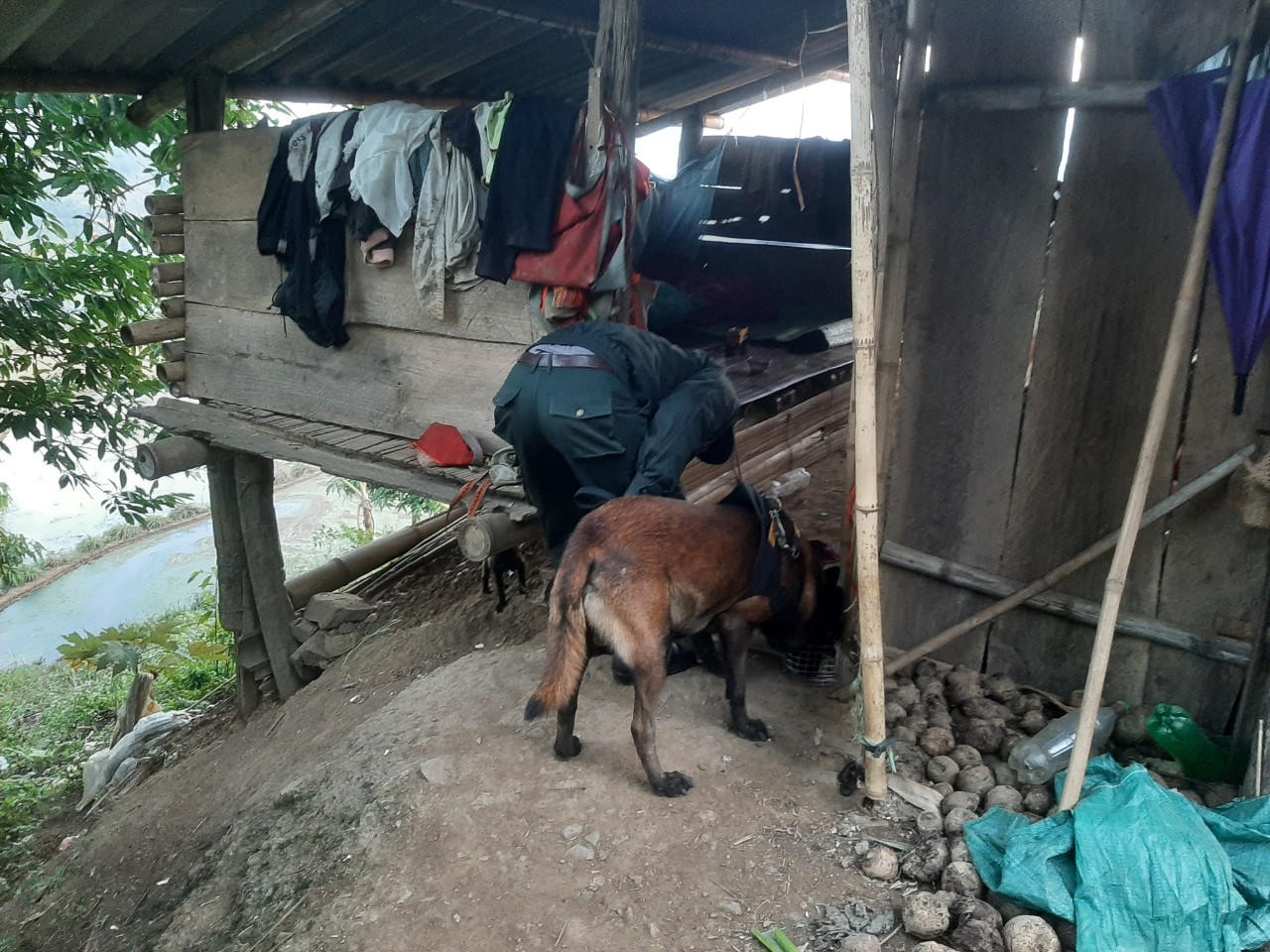 Khẩn trương truy bắt đối tượng giết người tại đồi cao su