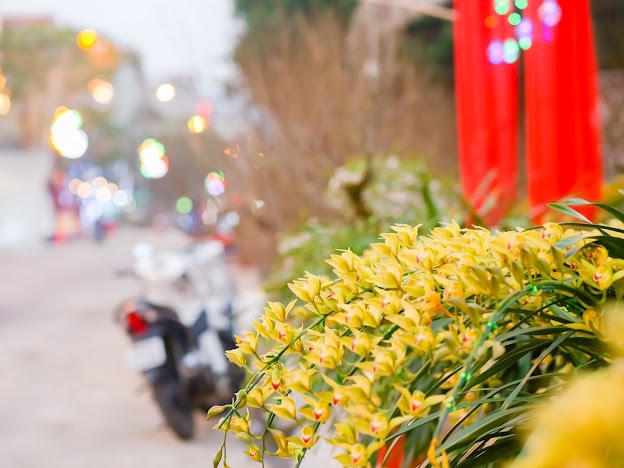 Ngập tràn không khí Tết tại Thành phố Lào cai