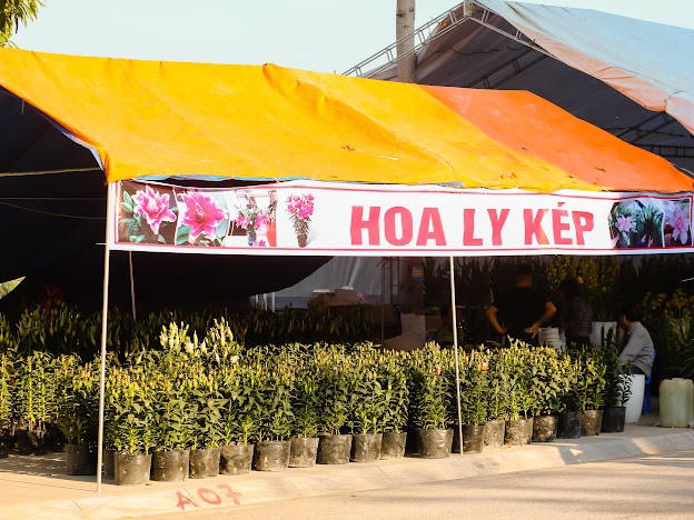 Ngập tràn không khí Tết tại Thành phố Lào cai