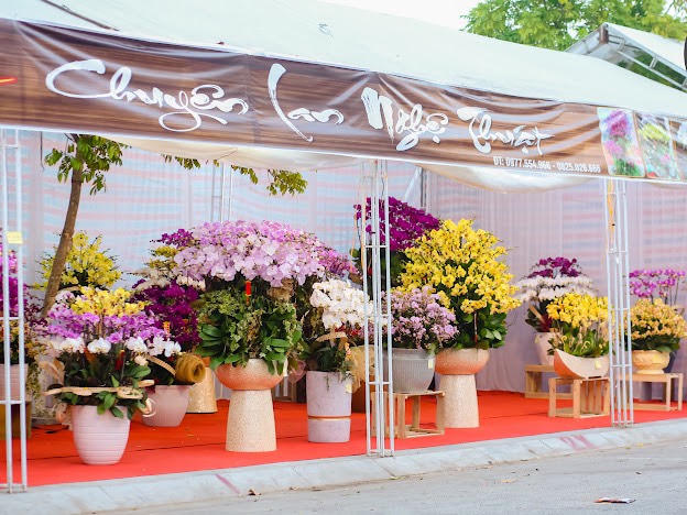 Ngập tràn không khí Tết tại Thành phố Lào cai