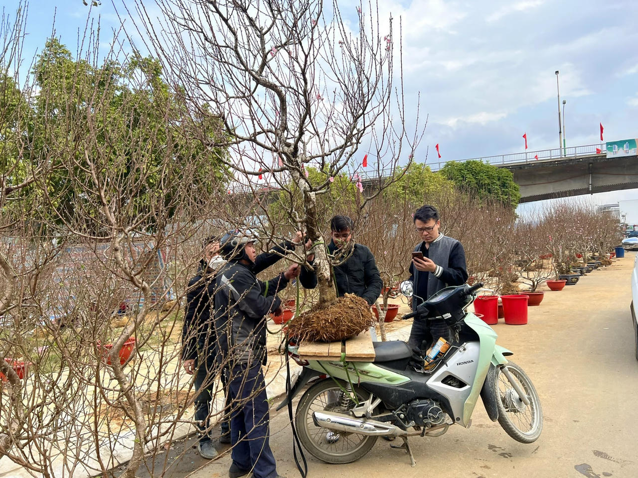 Ngập tràn không khí Tết tại Thành phố Lào cai