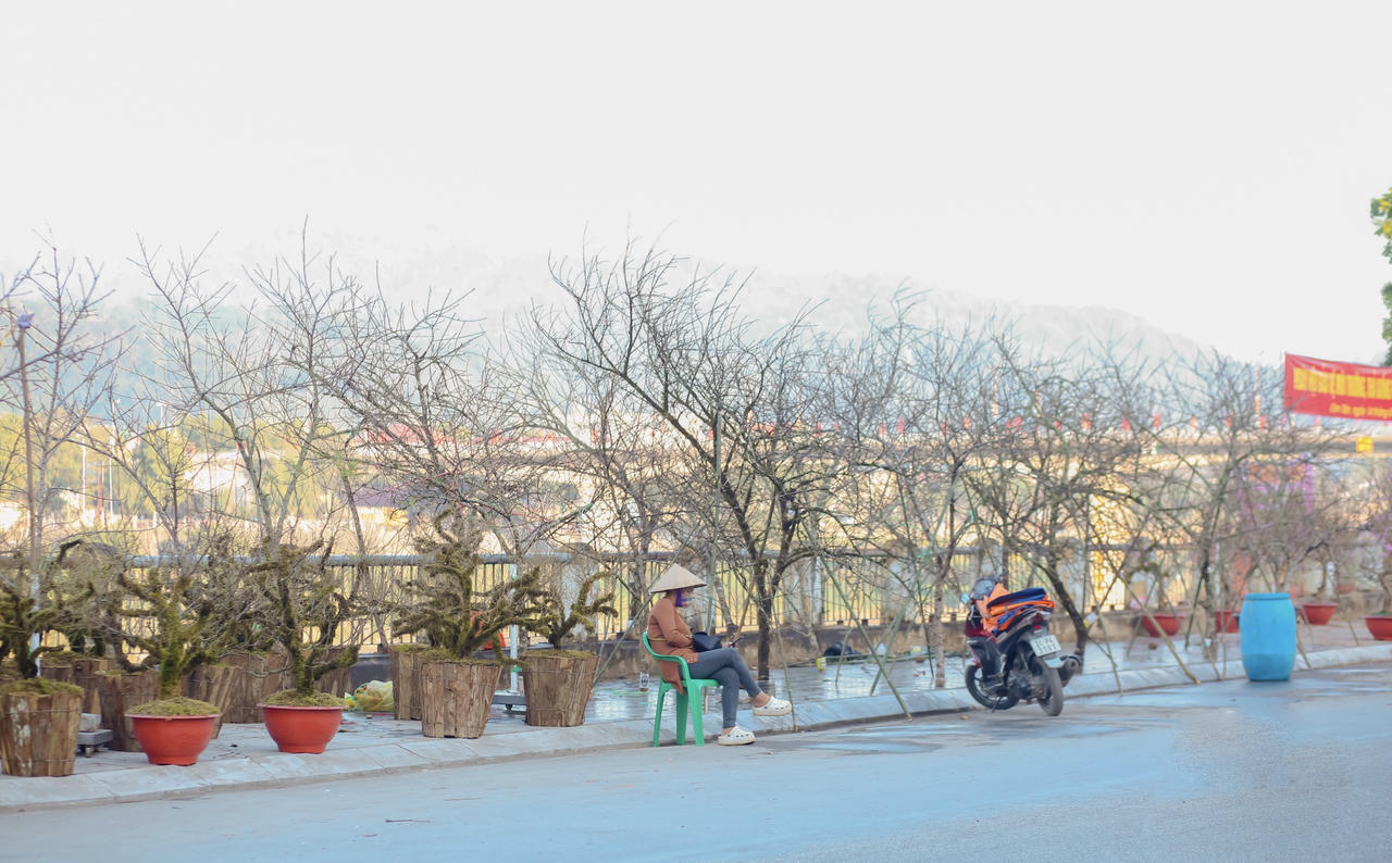 Ngập tràn không khí Tết tại Thành phố Lào cai