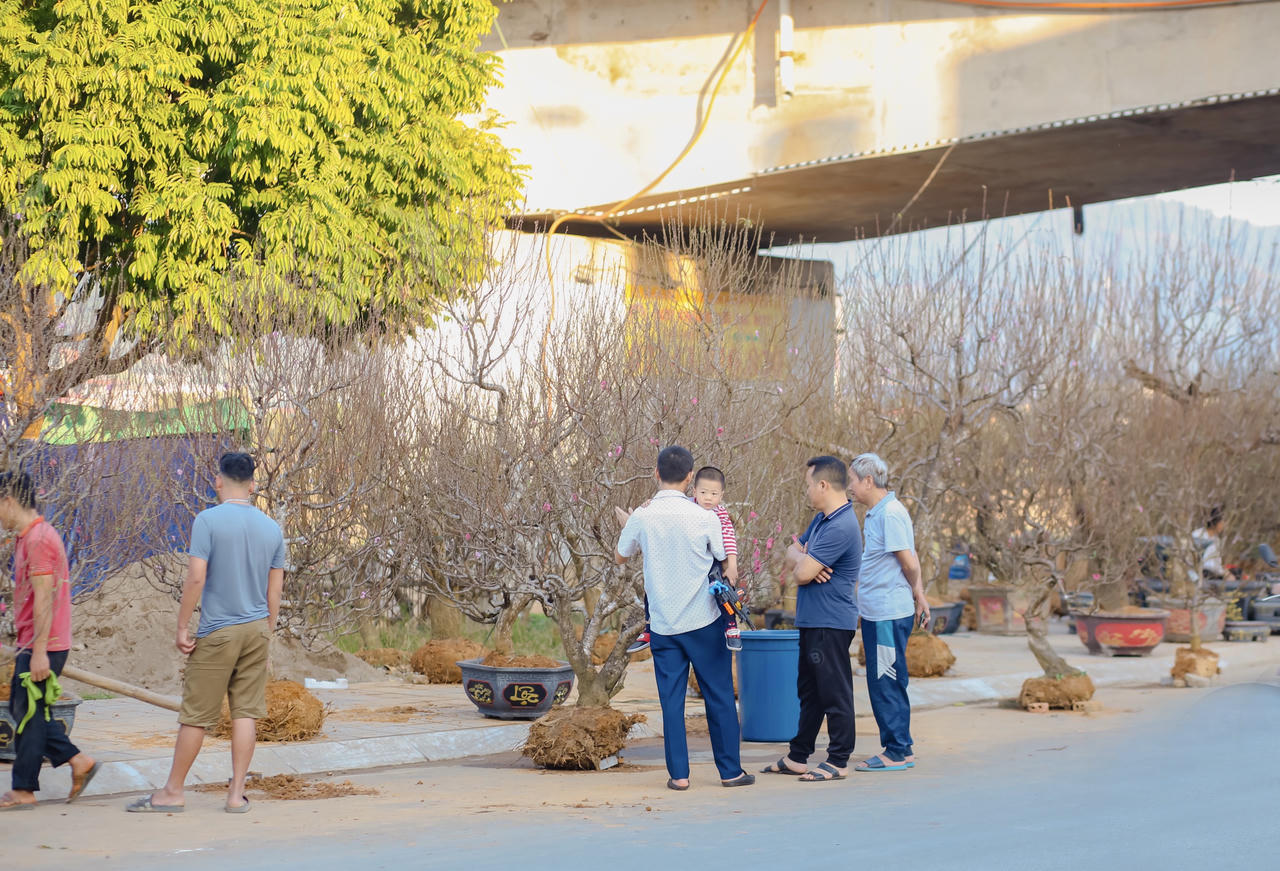 Ngập tràn không khí Tết tại Thành phố Lào cai