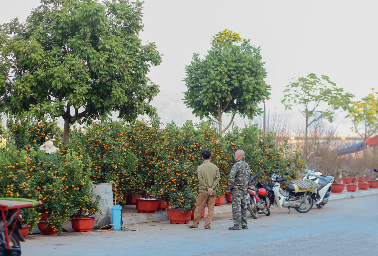Ngập tràn không khí Tết tại Thành phố Lào cai