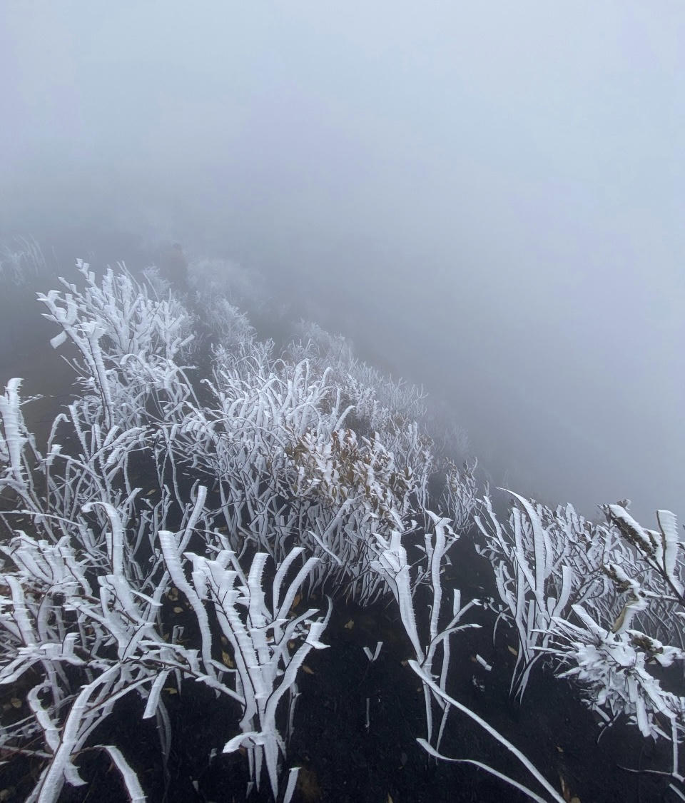 Cận cảnh băng tuyết trên núi Lảo Thẩn - Y Tý đầu năm