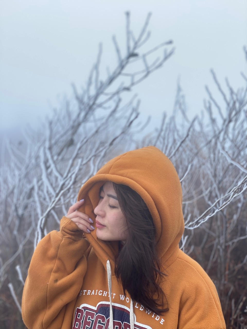 Cận cảnh băng tuyết trên núi Lảo Thẩn - Y Tý đầu năm