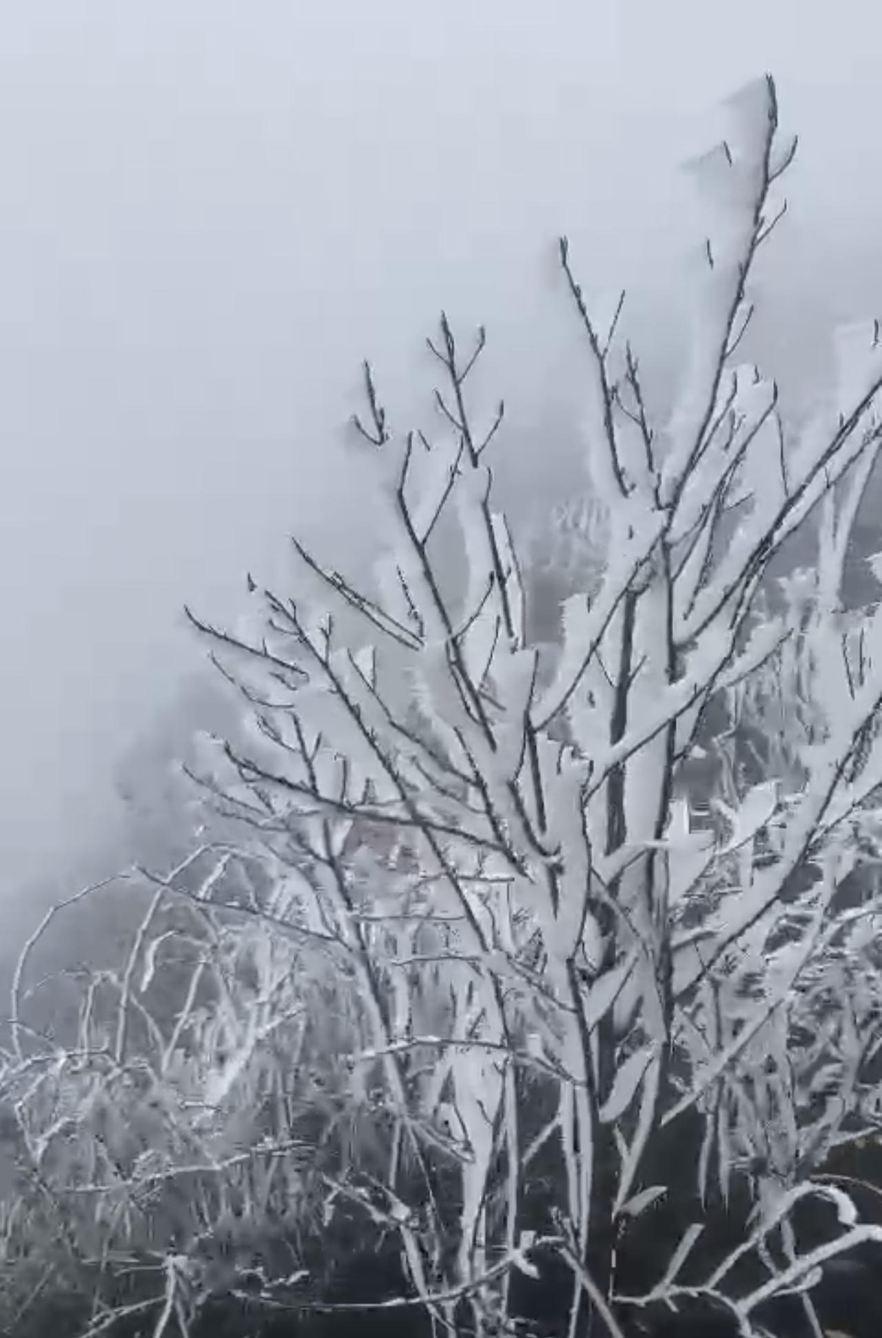 Cận cảnh băng tuyết trên núi Lảo Thẩn - Y Tý đầu năm