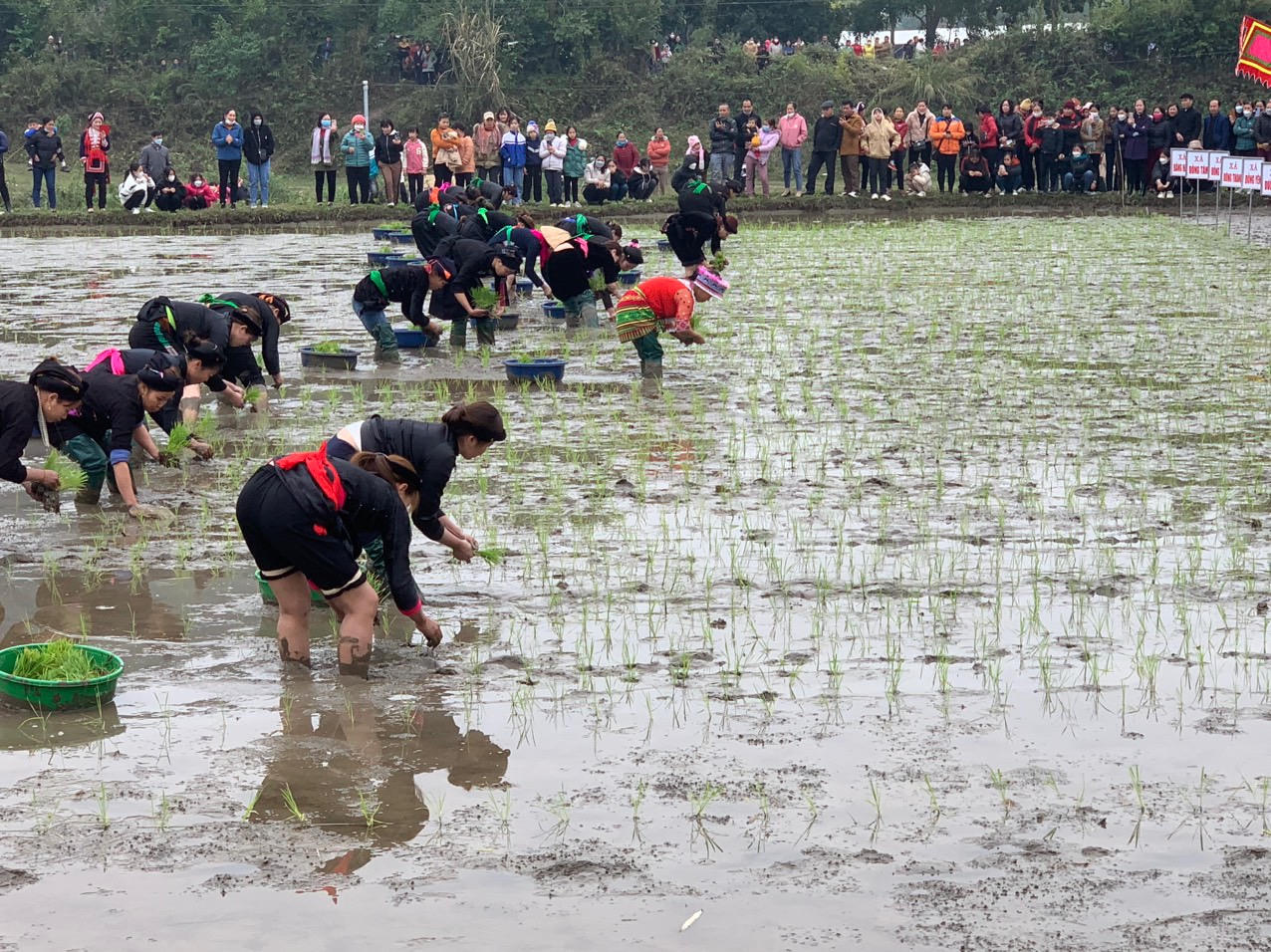 Lễ hội Lồng tồng - nét văn hóa đặc sắc của người Tày ở Hà Giang