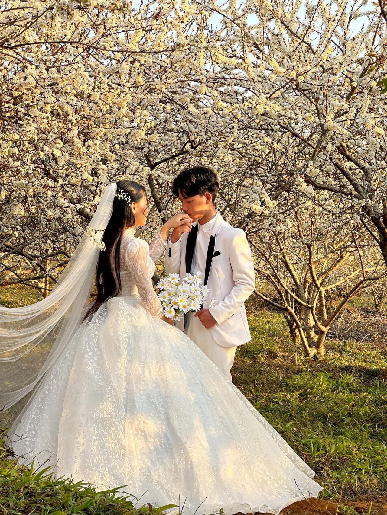 Cảnh đẹp như thiên đường trong những đồi hoa mận trắng tinh khôi ở Tam Đường 