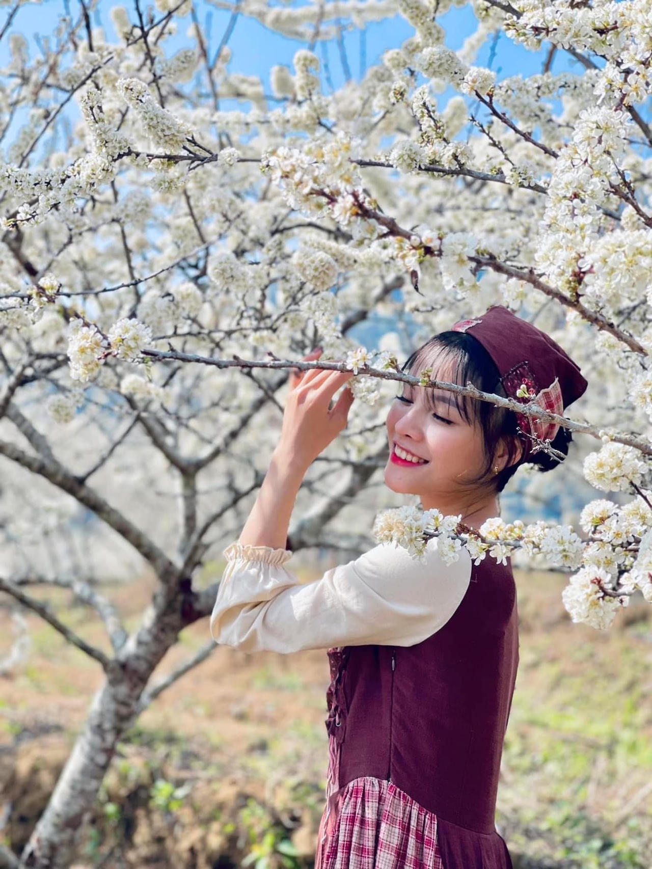 Cảnh đẹp như thiên đường trong những đồi hoa mận trắng tinh khôi ở Tam Đường 