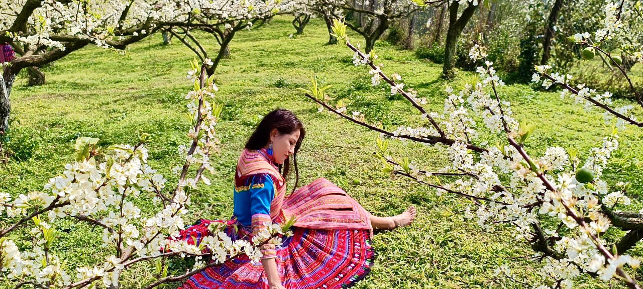 Cảnh đẹp như thiên đường trong những đồi hoa mận trắng tinh khôi ở Tam Đường 