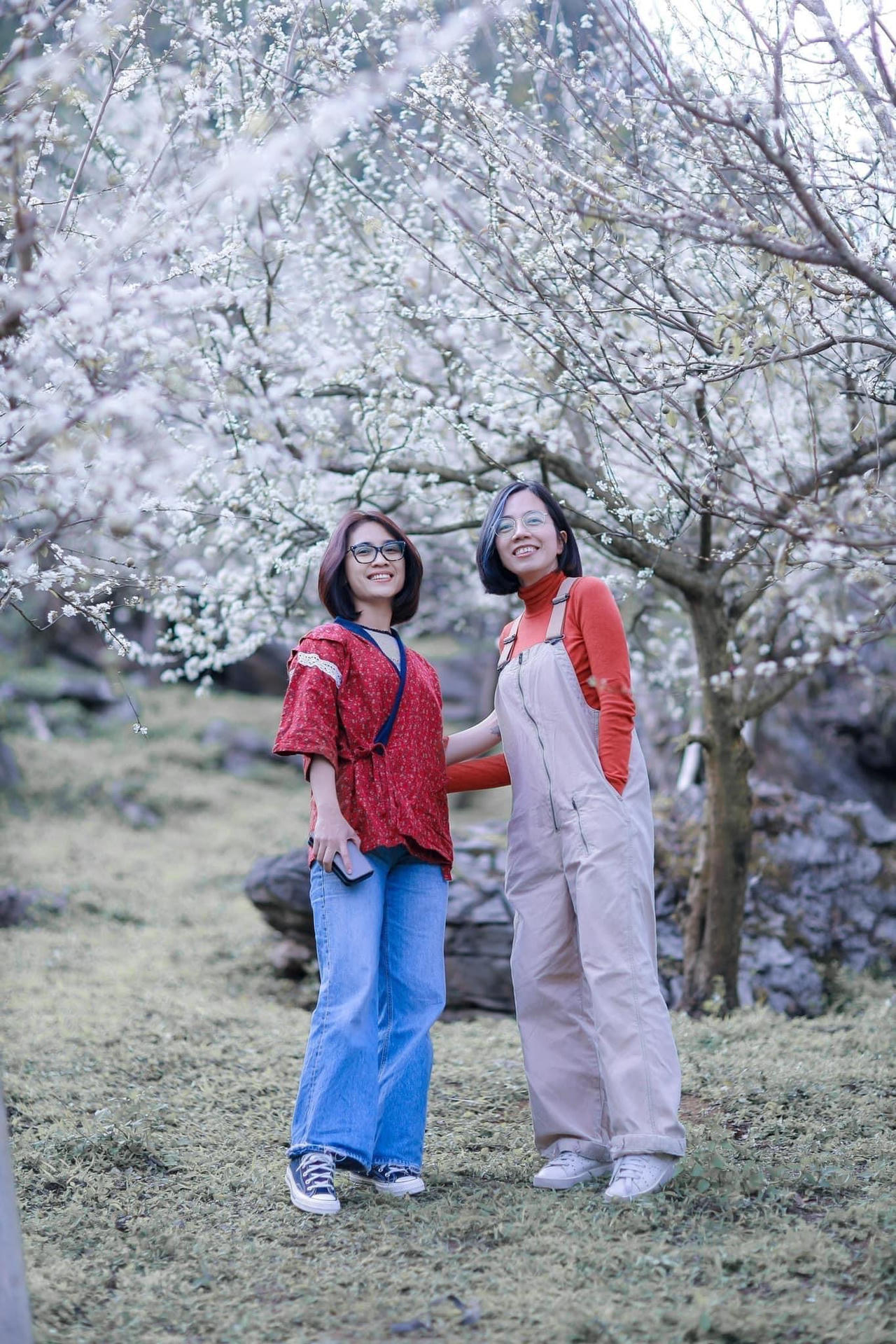 Cảnh đẹp như thiên đường trong những đồi hoa mận trắng tinh khôi ở Tam Đường 