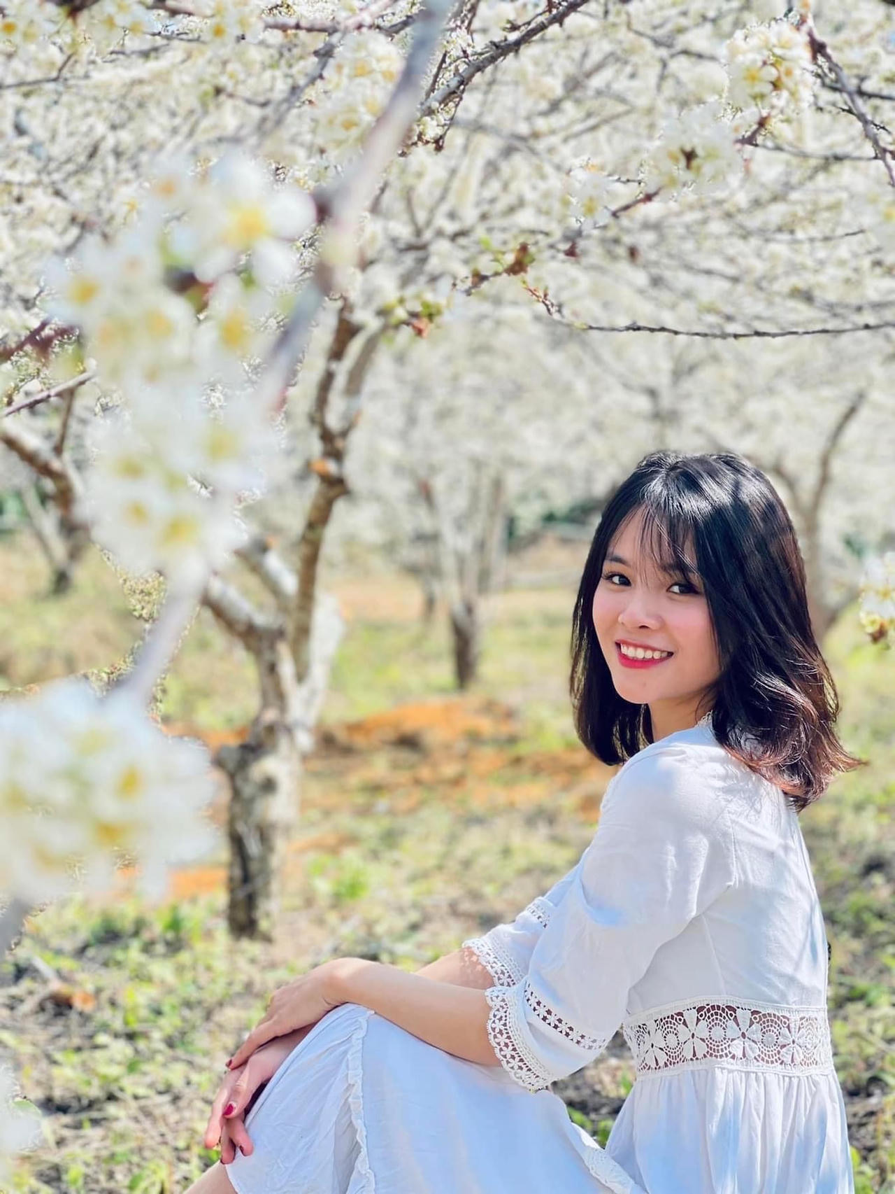 Cảnh đẹp như thiên đường trong những đồi hoa mận trắng tinh khôi ở Tam Đường 