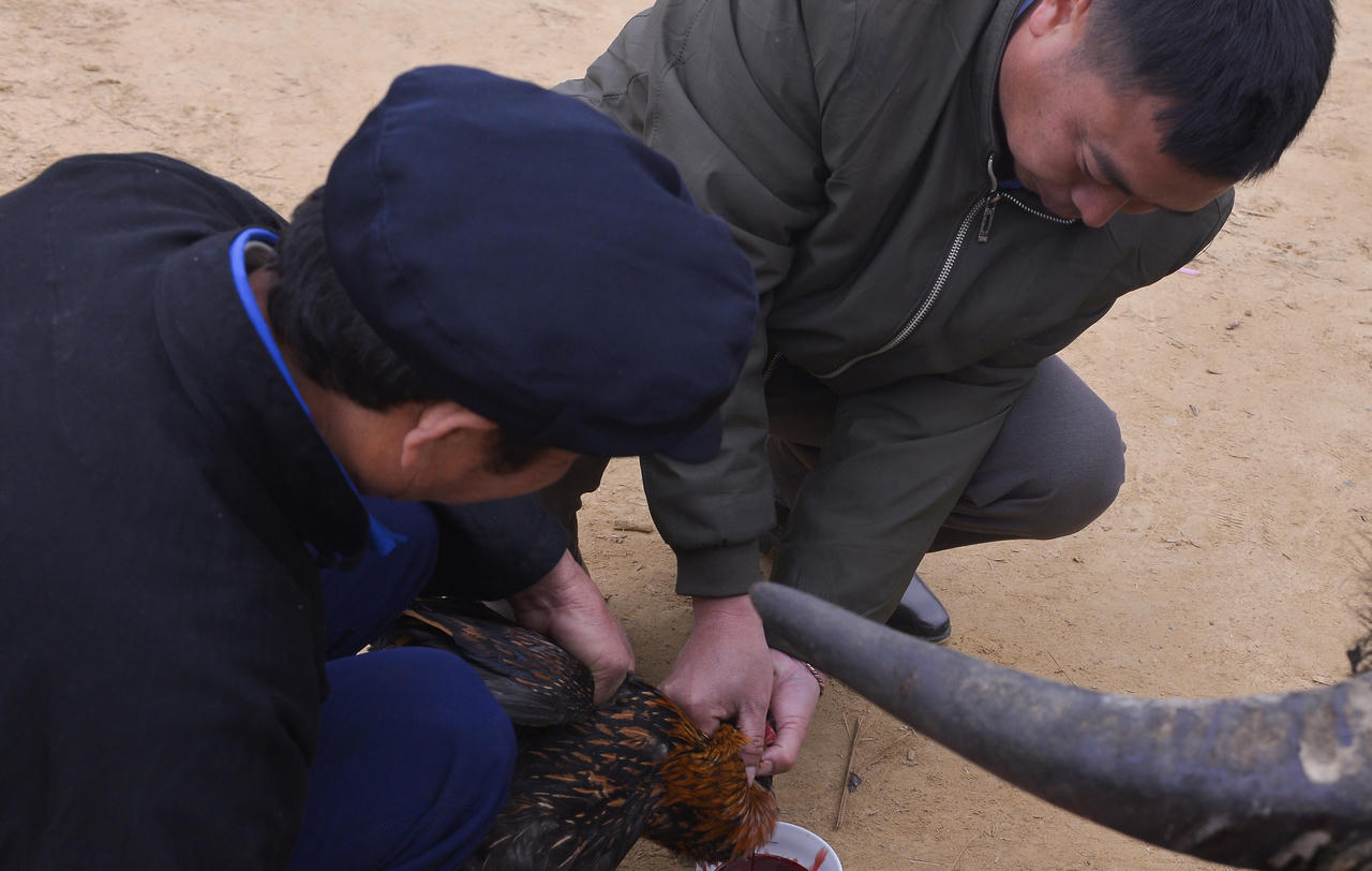  Vui hội Gầu Tào trên núi Dào San