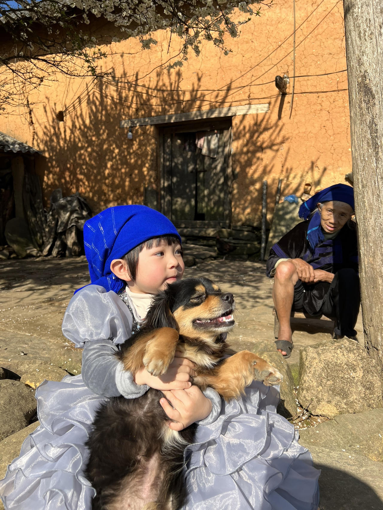 Y Tý bừng sáng sau mùa đông!