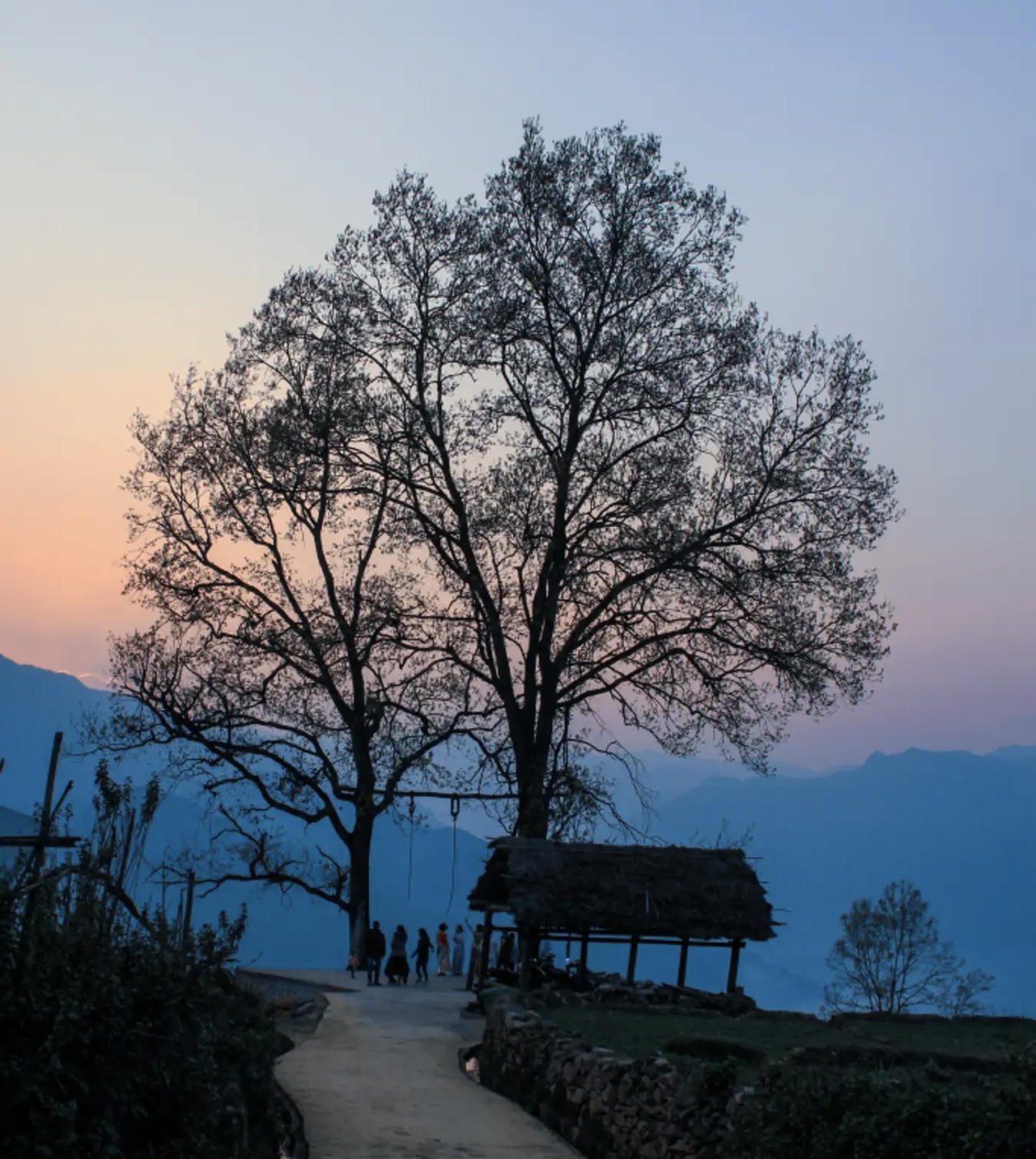 Y Tý bừng sáng sau mùa đông!