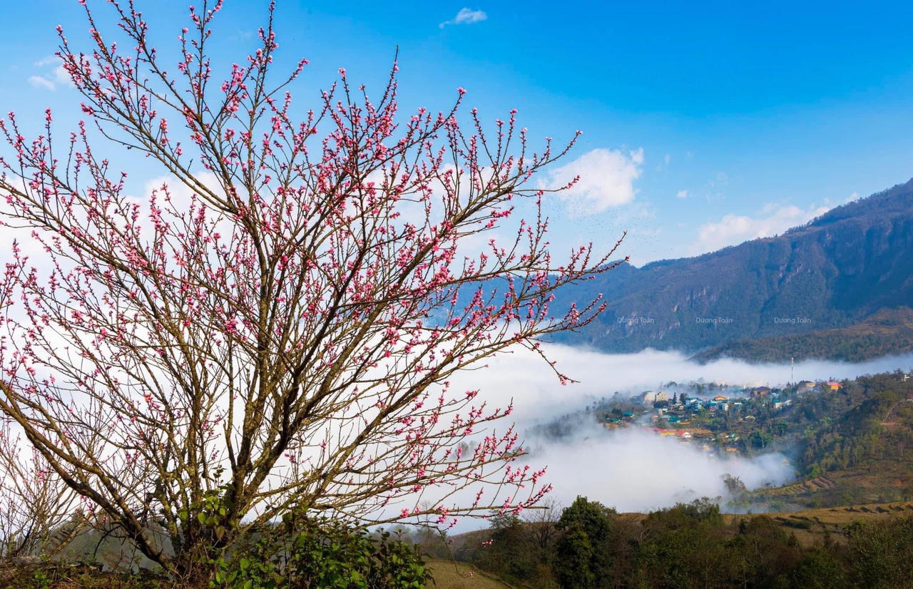 Y Tý bừng sáng sau mùa đông!