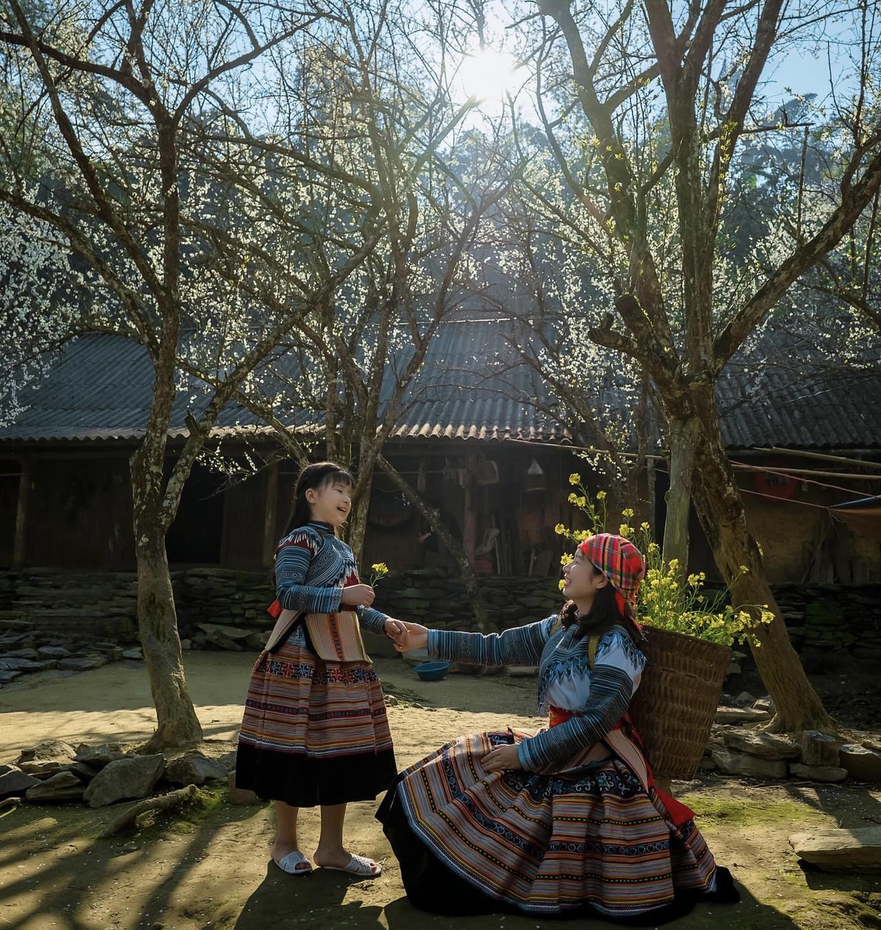 Hoa mận trên cao nguyên Bắc Hà: Đẹp đến nao lòng!