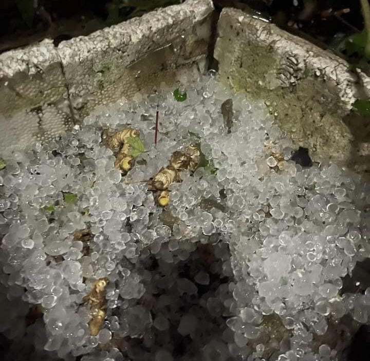 Huyện Mường Tè xuất hiện mưa đá ở nhiều nơi