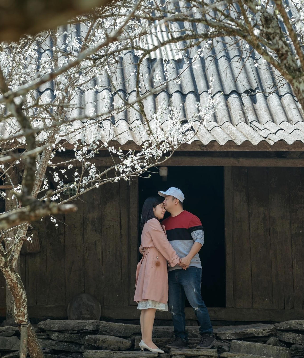 Hoa mận trên cao nguyên Bắc Hà: Đẹp đến nao lòng!