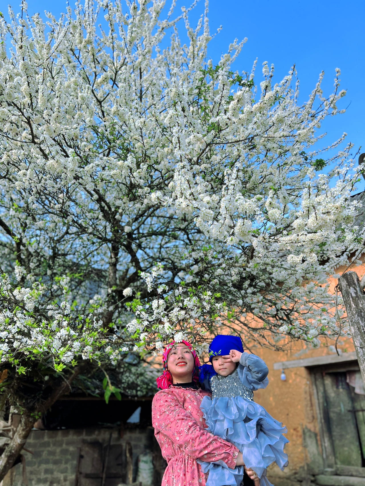 Y Tý bừng sáng sau mùa đông!