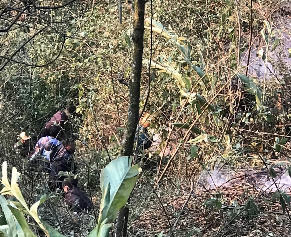 Cháy rừng ở Sa Pa, hơn 300 người được huy động dập lửa