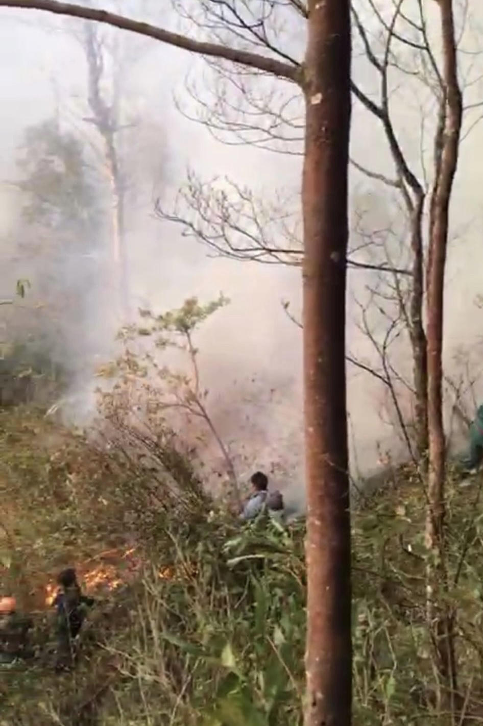 Cháy rừng ở Sa Pa, hơn 300 người được huy động dập lửa