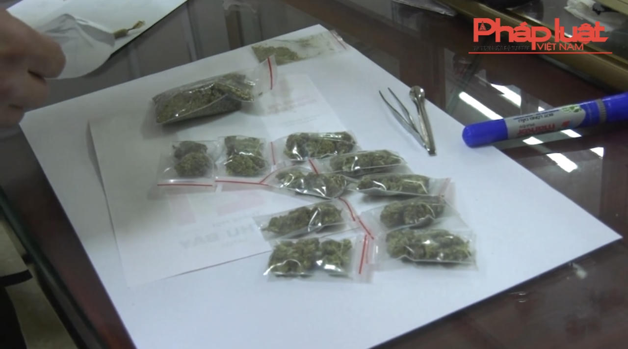 Sapa: Bắt giữ 2 đối tượng mua bán ma túy cần sa tại Why Bar