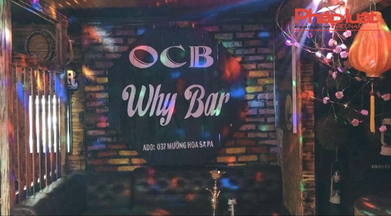 Sapa: Bắt giữ 2 đối tượng mua bán ma túy cần sa tại Why Bar