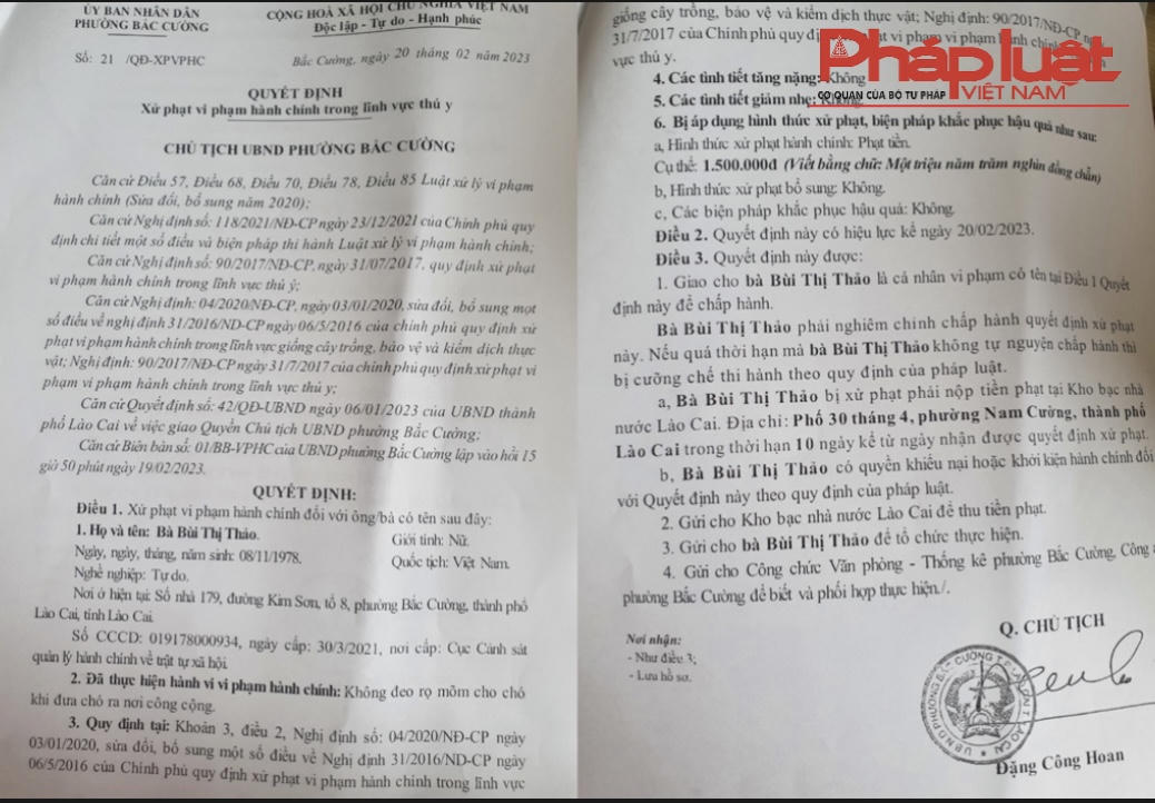 Phạt hành chính chủ chó trong vụ nam sinh bị chó cắn tại Lào Cai 